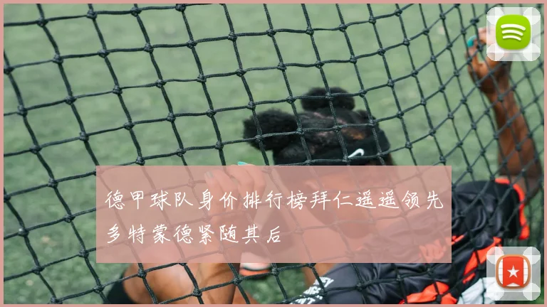 德甲球队身价排行榜拜仁遥遥领先多特蒙德紧随其后